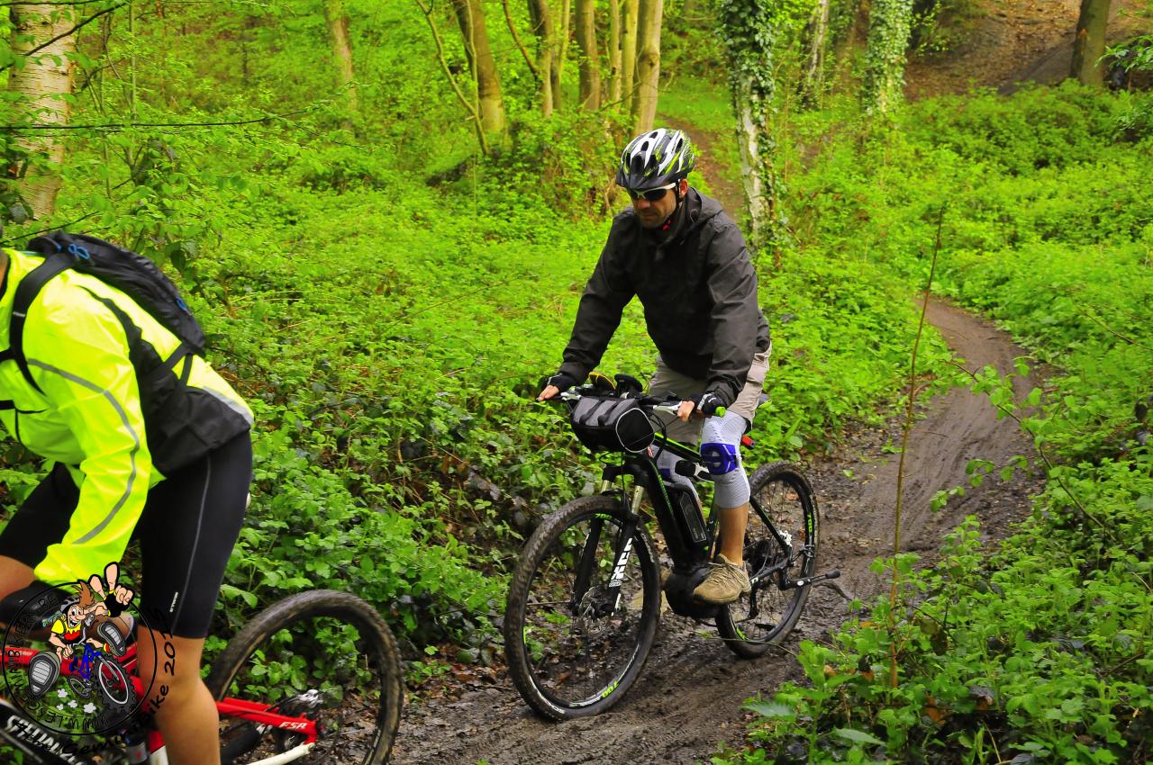 Geminibike 2015-215